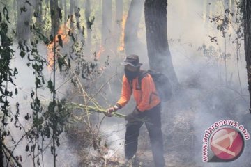 Kebakaran hutan meluas di Gunung Semeru
