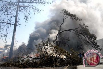 Lahan tebu di Magetan terbakar