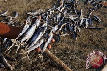 IKAN KERING