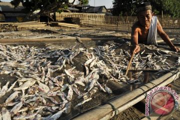 IKAN KERING