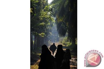 IDUL ADHA AN NASIR
