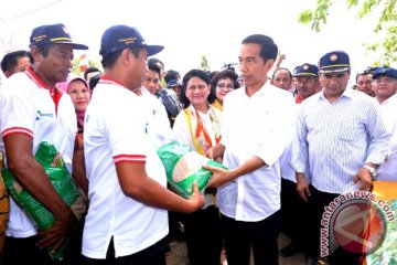 Presiden kejar target swasembada pangan tiga tahun