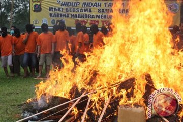 BNN temukan 251 narkoba jenis baru