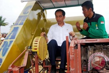 Presiden panen padi di Desa Barang Palie