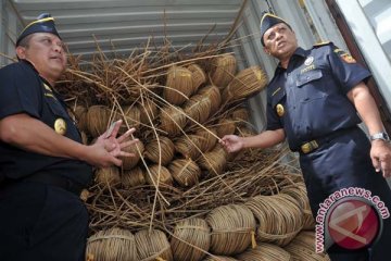 Penyelundupan 20 ton rotan di perbatasan Indonesia-Malaysia digagalkan