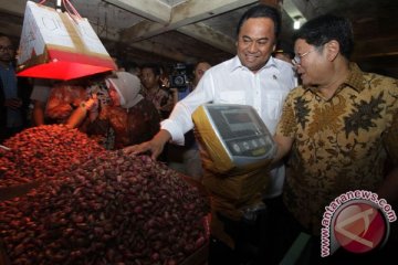 Mendag janji turunkan harga cabai