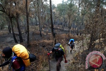 Bencana Asap - Kebakaran di TN Bromo Tengger Semeru 100 ha