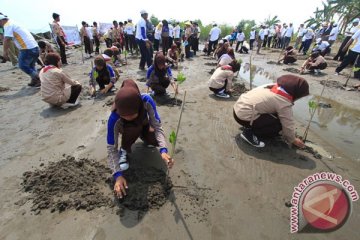 Jutaan anakan pohon aneka jenis ditanam di Maluku