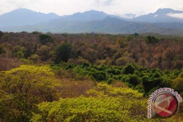 Kaimana siap menjadi laboratorium karbon biru