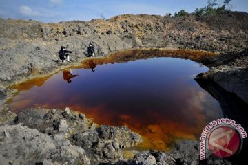 Greenpeace: tambang bisa merusak bentang alam Kalimantan Selatan