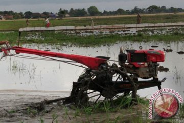 Kementan gandeng TNI cetak sawah 32.000 hektare