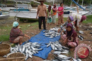 DKP Mataram akan latih istri nelayan mengolah ikan