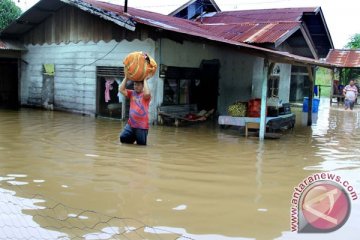 5.293 rumah di langkat terendam banjir