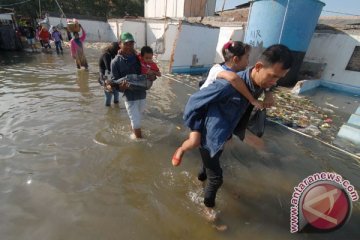 Banjir rob tiga meter, ombak besar robohkan rumah warga Cemarajaya, Karawang