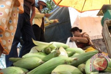 Penjual jagung
