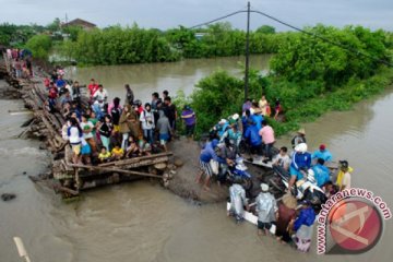 Banjir terjang lahan pertanian Kupang