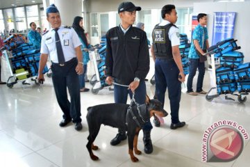 Koper penumpang tertinggal setahun di Bandara Juanda dibongkar 