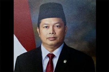 Wakil Ketua MPR Mahyudin pulang kampung