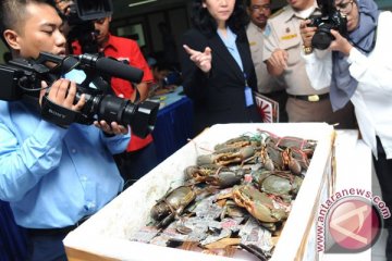 Karantina Palangka Raya gagalkan pengiriman kepiting bertelur