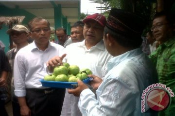 Kunjungan Menteri PDT