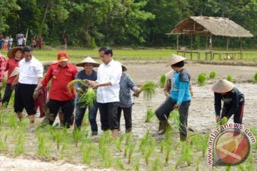 Semalam Jokowi menyapa warga Ternate