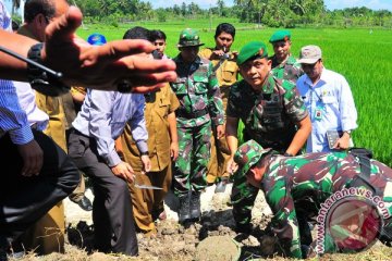 Pangdam: semua TNI terlibat sukseskan ketahanan pangan