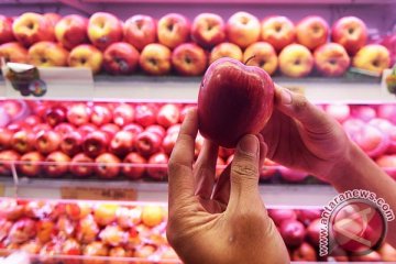 Sultra tarik apel impor Amerika dari pasar