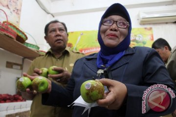 Apel impor Amerika beredar di Cimahi