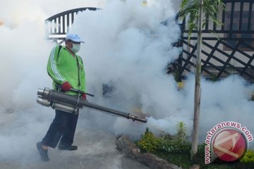 Jumlah kasus demam berdarah di Surabaya meningkat