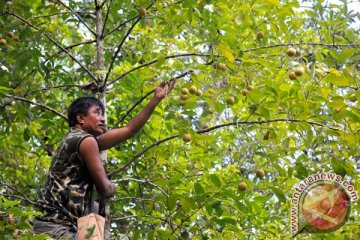 Kualitas industri kecil menengah di Sangihe-Sulut diprioritaskan