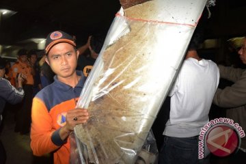 Dua jenazah AirAsia diterbangkan ke Surabaya