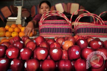 Disperindag Paser masih temukan apel "Granny Smith"