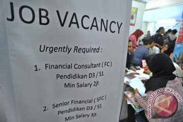 Pekanbaru "Job Expo " 2015 terima 6.554 lamaran