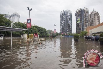 KNPI minta pemerintah bentuk badan khusus penanggulangan banjir