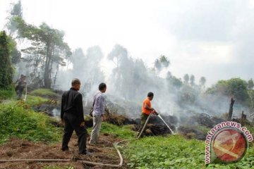 Riau siapkan insentif buka lahan tanpa bakar