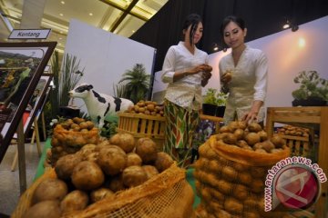 Pemerintah upayakan peningkatan akses pasar Tiongkok