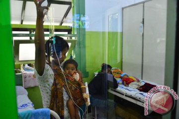 706 kasus DBD di Padang hingga Agustus, 9 penderita meninggal dunia