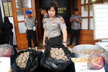 Polisi ungkap bakso daging celeng di Sukabumi