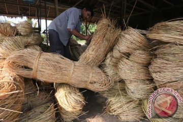 TNI AL gagalkan penyeludupan 100 ton rotan ke Malaysia