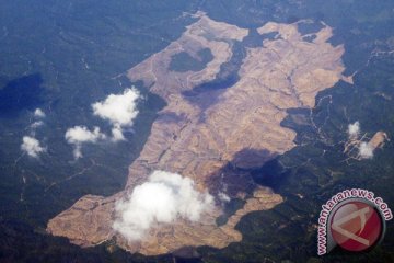 Modal hutan Indonesia seluas 134 juta hektar