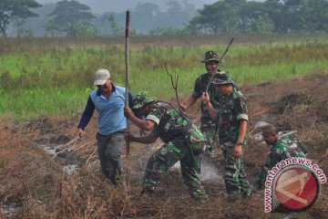 Hama tikus meningkat, puluhan hektare sawah gagal panen