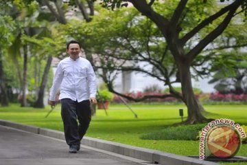 DPP Hanura dan PAN dukung Ahok jadi Gubernur DKI