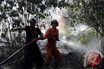 Di Batam terjadi 30-40 kebakaran lahan dalam sebulan