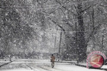 Korban tewas akibat salju longsor di Afghanistan naik jadi 191 orang