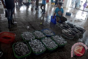 Pedagang keluhkan pasokan ikan menipis