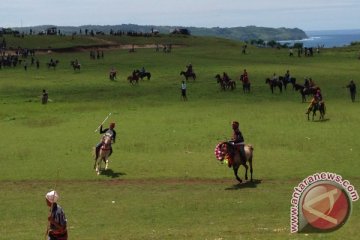 Kucuran darah dinantikan di festival Pasola