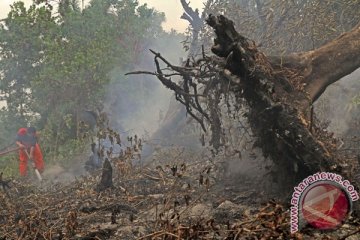 BMKG rekam puluhan "hotspot" di Riau