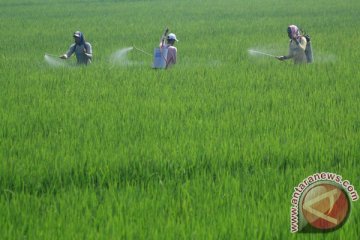 Yogyakarta wacanakan pembatasan alih fungsi sawah