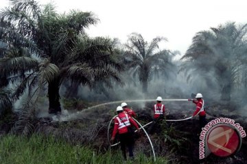 BMKG : ada 11 titik api di Aceh