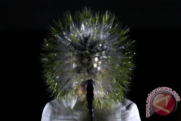 Pameran tentang Bjork di New York